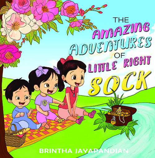 غلاف كتاب The Amazing Adventures of Little Right Sock