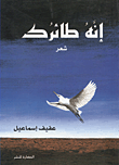 غلاف كتاب انه طائرك