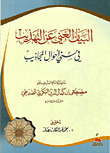 غلاف كتاب البيان الغني عن التهذيب في سني أحوال المجاذيب