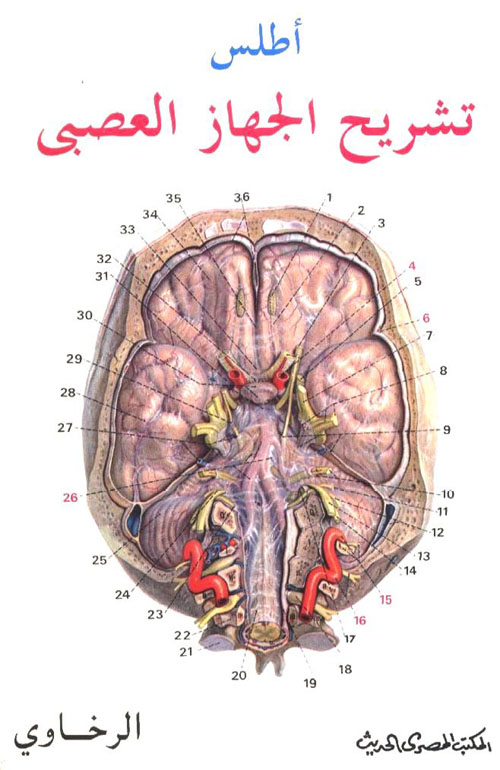 غلاف كتاب أطلس تشريح الجهاز العصبي